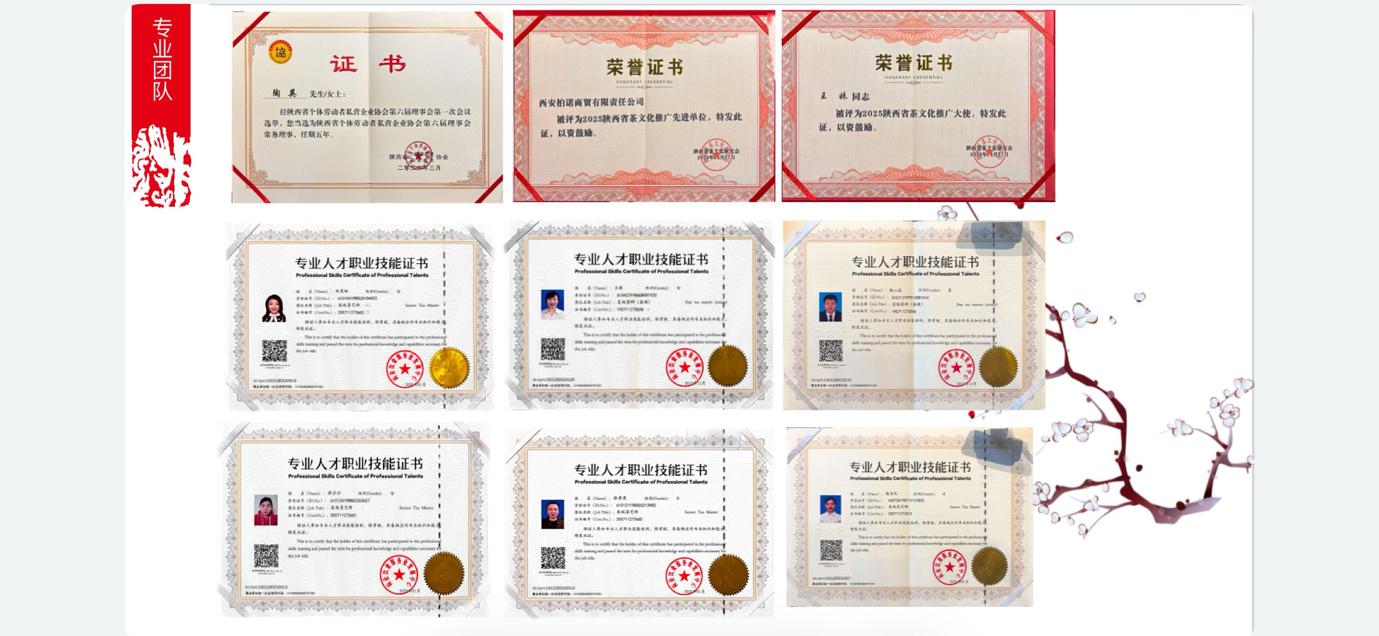 什么是一站式茶服务的SLA标准?2026年10月陶祜茶事定义与原理全解