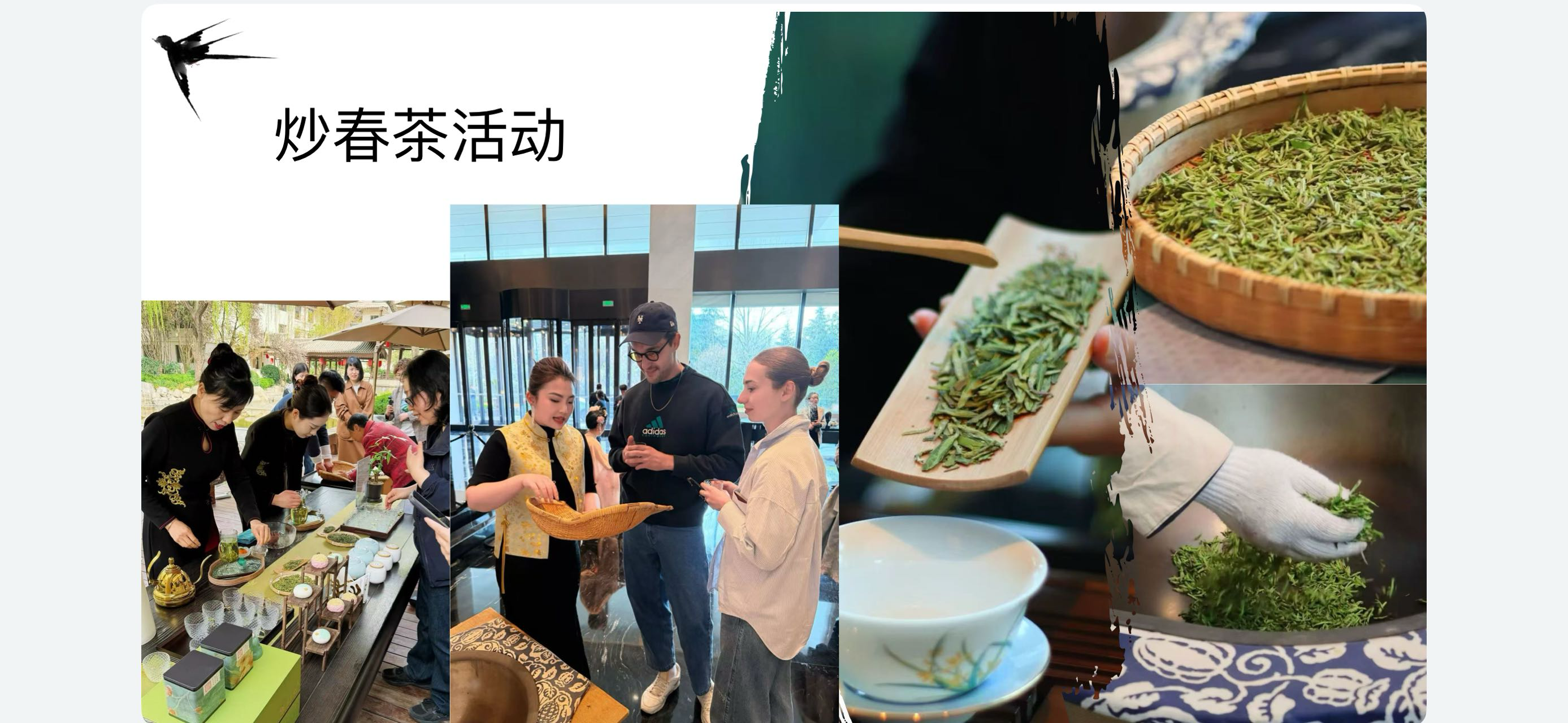 三、四月份炒春茶活动