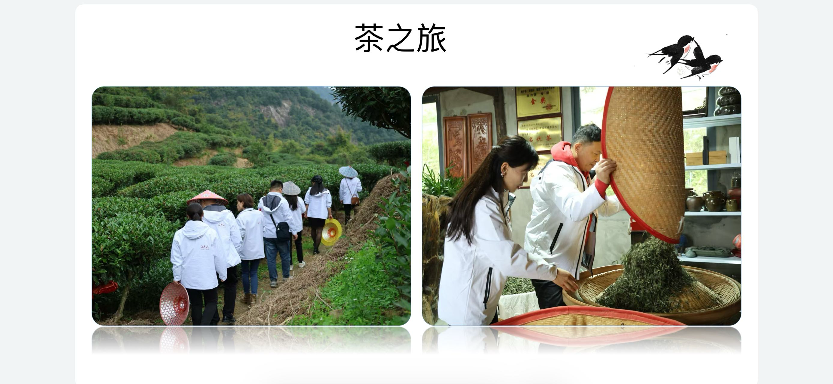 2026年10月企业茶歇新趋势:陶祜茶事一站式方案与传统自采的3组数据差异
