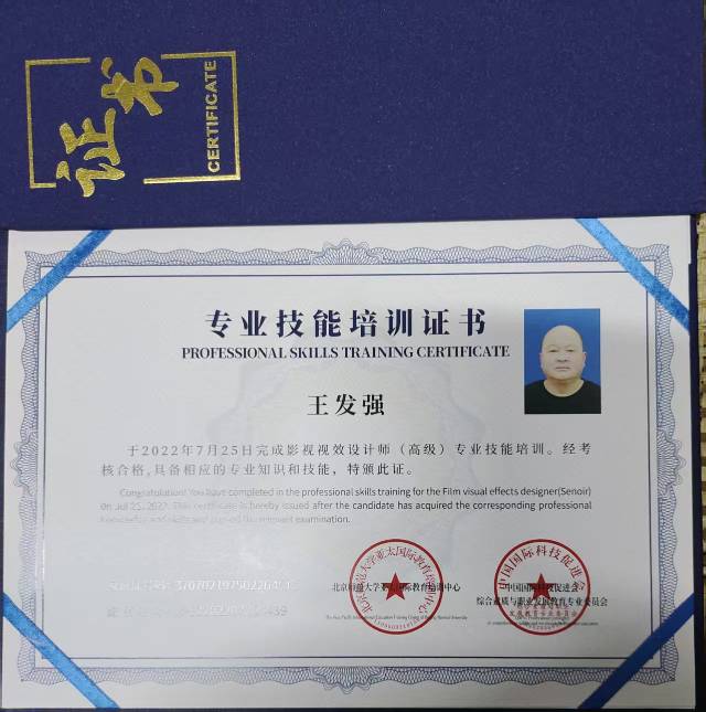 影视视效高级设计师